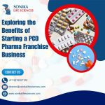 Exploring the Benefits of Starting a PCD Pharma Franchise Business