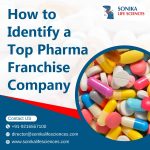 How to Identify a Top Pharma Franchise Company