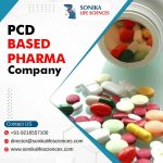 PCD Based Pharma Company