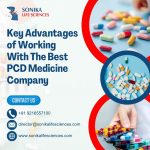 Key Advantages Of Working With The Best PCD Medicine Company